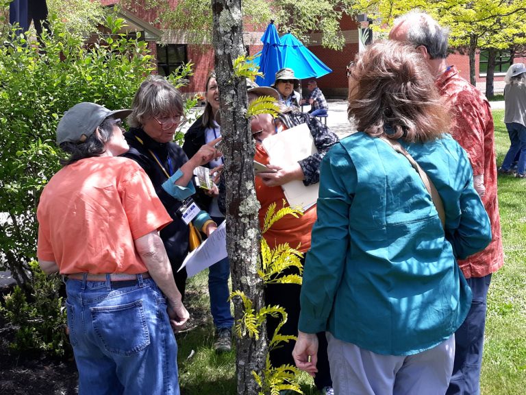 Outdoor Shorts: Let's Look at Lichens - Spring 2024