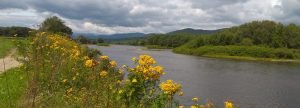 Kennebec River with Tansy flowers on a partly cloudy day