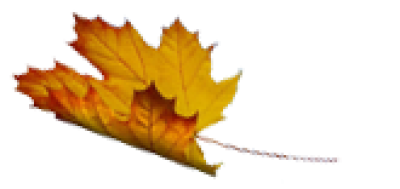 2024FallingLeaf2