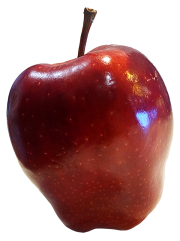 Apple Apple